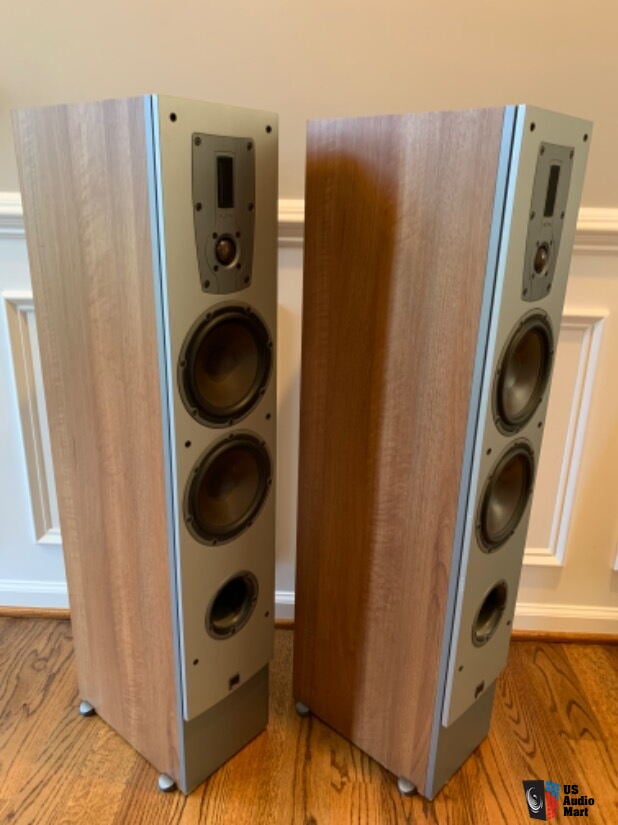 DALI IKON 6 - Imagem 7