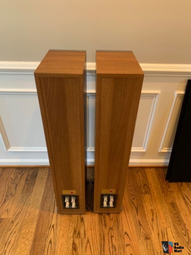 DALI IKON 6 - Imagem 8