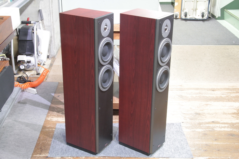 DYNAUDIO DM 3/7 Rosewood - Imagem 5