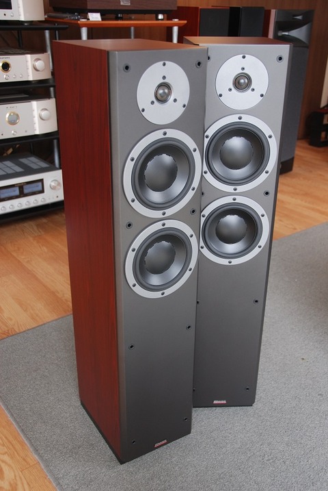 DYNAUDIO DM 3/7 Rosewood - Imagem 3