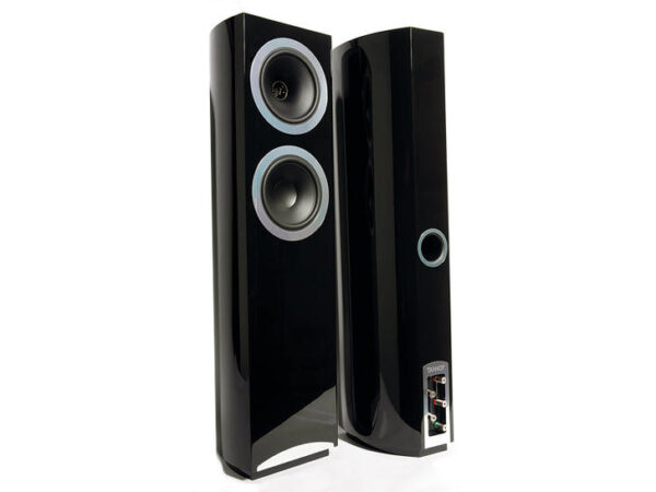 TANNOY DEFINITION DC10T