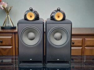 B&W 801 NAUTILUS Black Ash