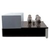 DOSHI AUDIO EVOLUTION Mono 160 watts - Image 5