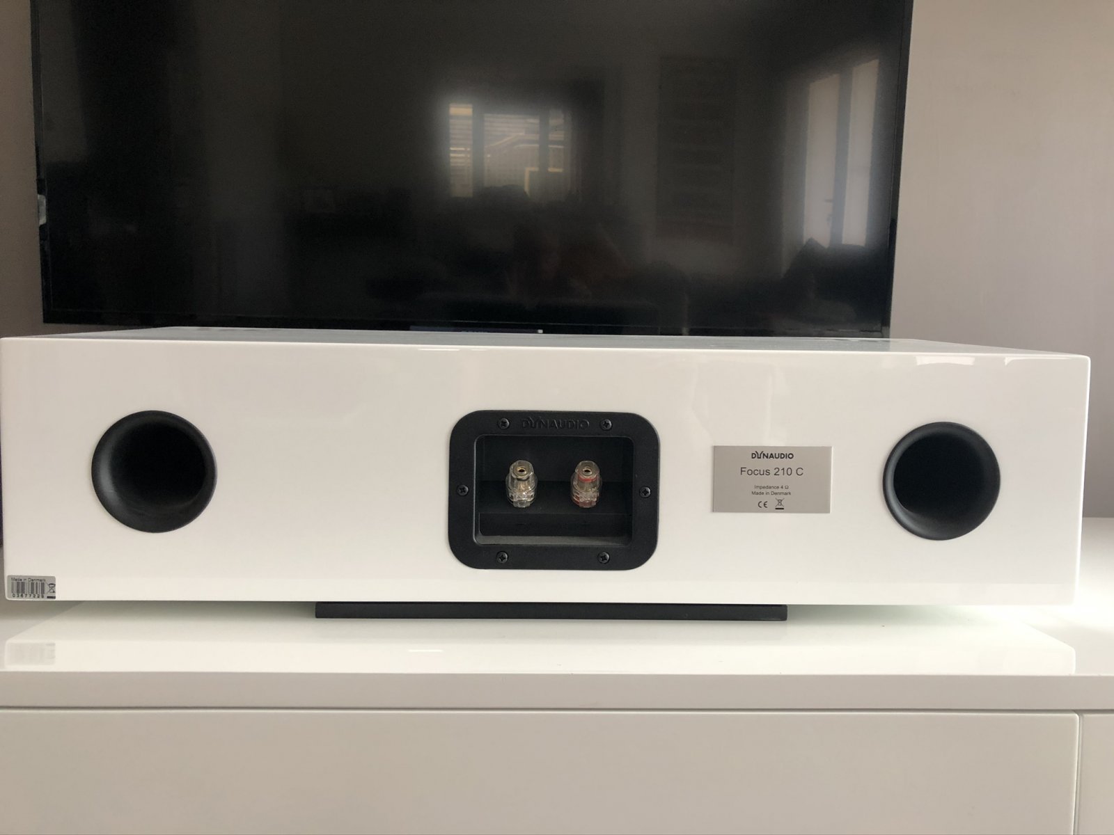 DYNAUDIO FOCUS 210C White Gloss - Imagem 5