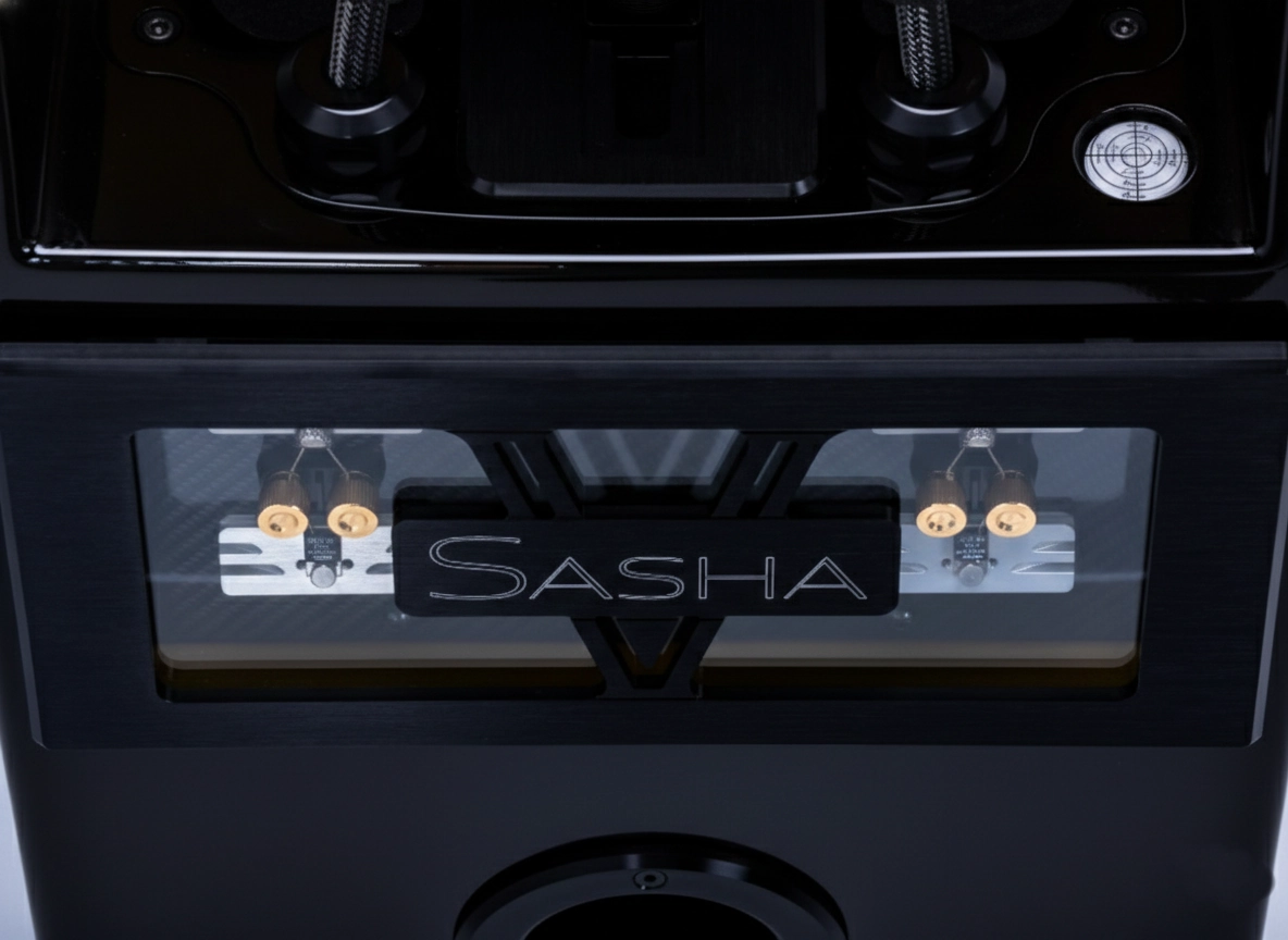 WILSON AUDIO SASHA V Black Gloss - Imagem 4