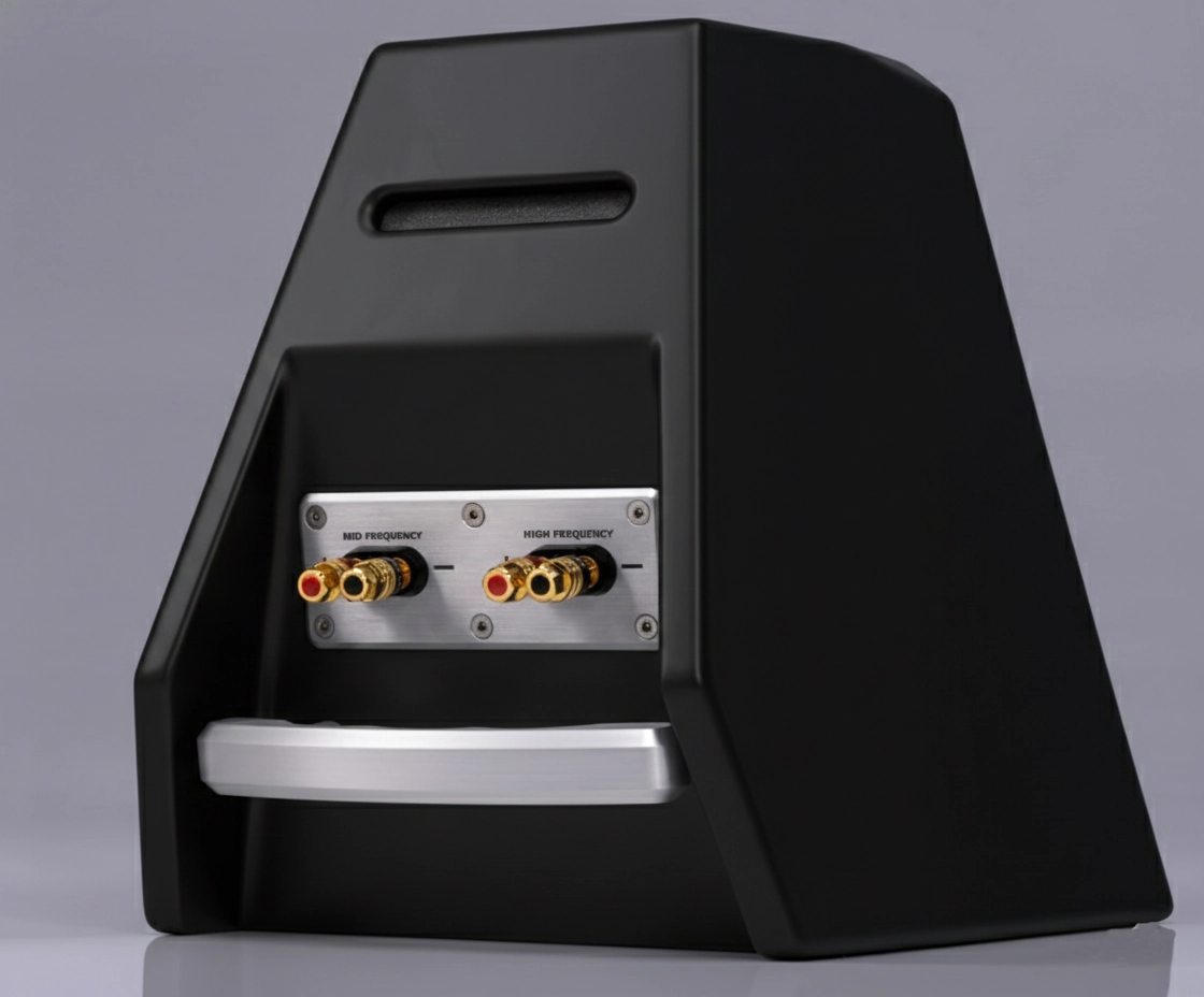 WILSON AUDIO THE WATT/ PUPPY Black Gloss - Imagem 5