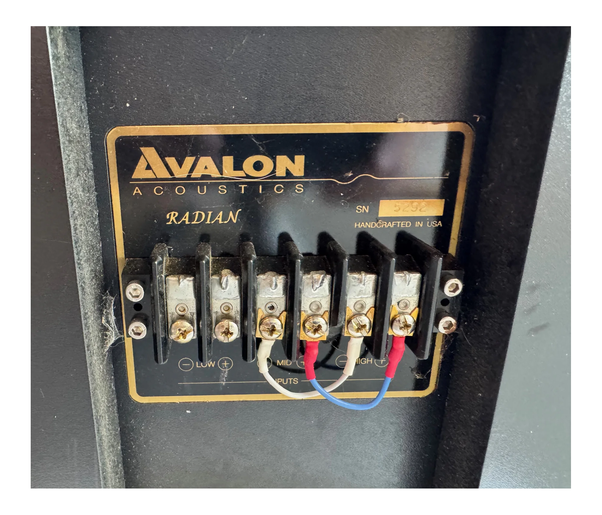 AVALON ACOUSTICS RADIAN HC Acabamento Walnut - Imagem 5