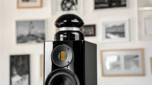 ELAC 4Pi PLUS V Super Tweeter Omni Direcional