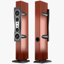 DYNAUDIO Confidence 4