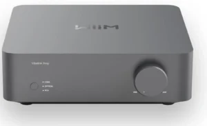 WiiM VIBELINK AMP